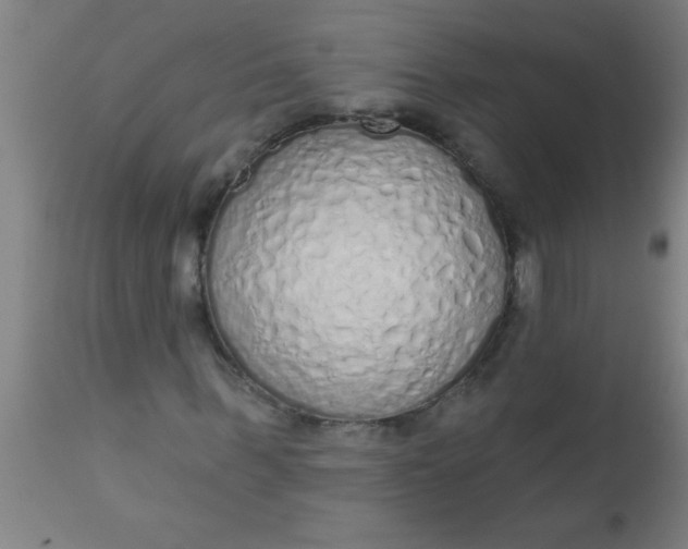 X0000112520963200909071329