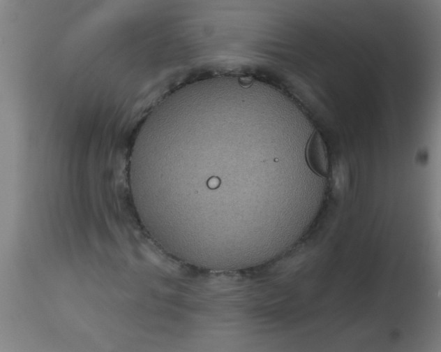 X0000112520964200909071329