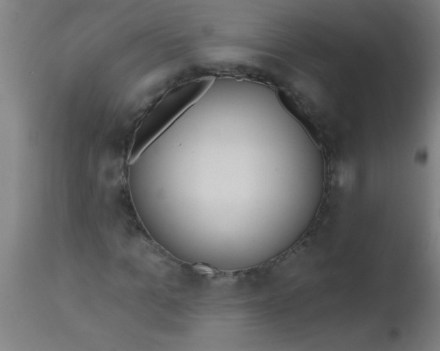 X0000112520965200909071329