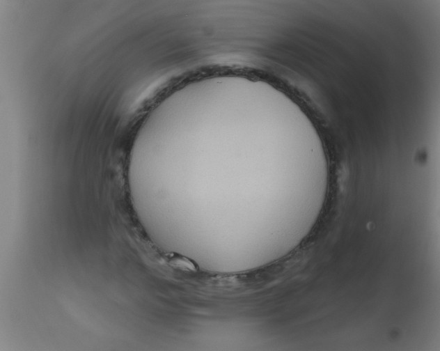 X0000112520968200909071329