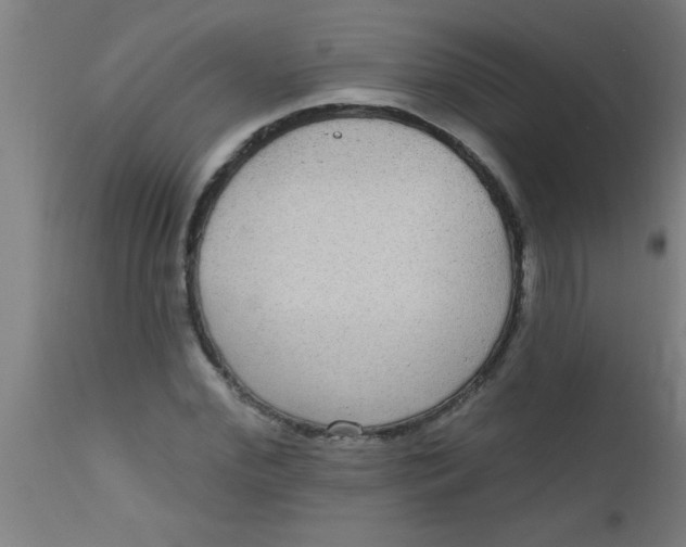 X0000112520972200909071329