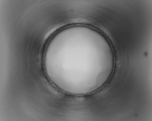 X0000112520975200909071329
