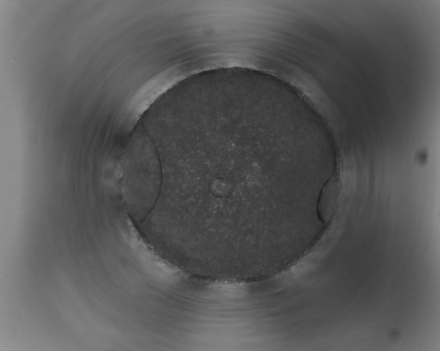 X0000112520977200909071329