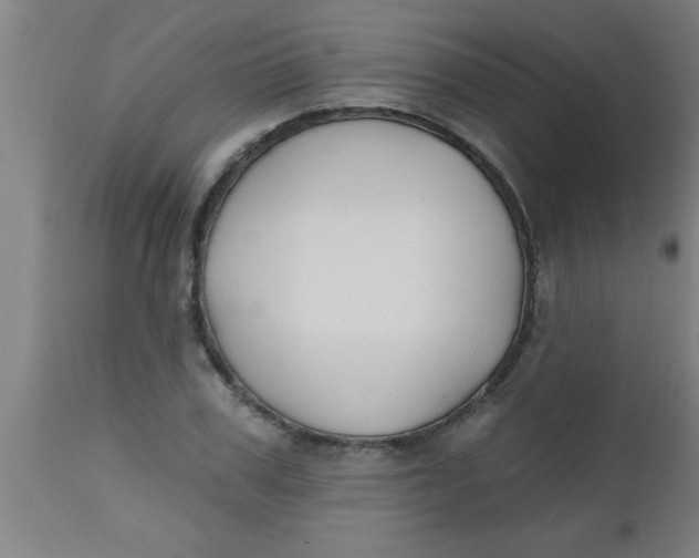 X0000112520979200909071329