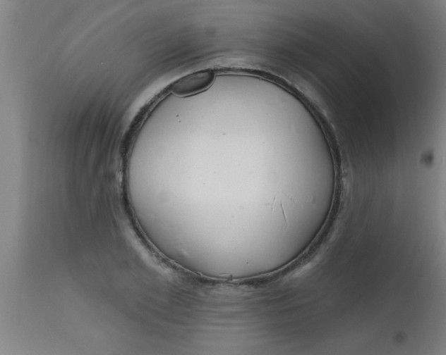 X0000112520981200909071329