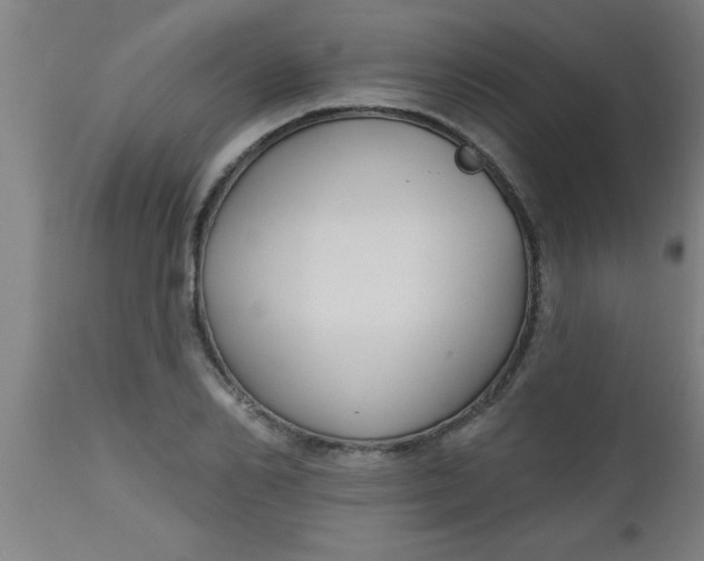X0000112520982200909071329