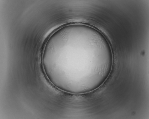 X0000112520983200909071329