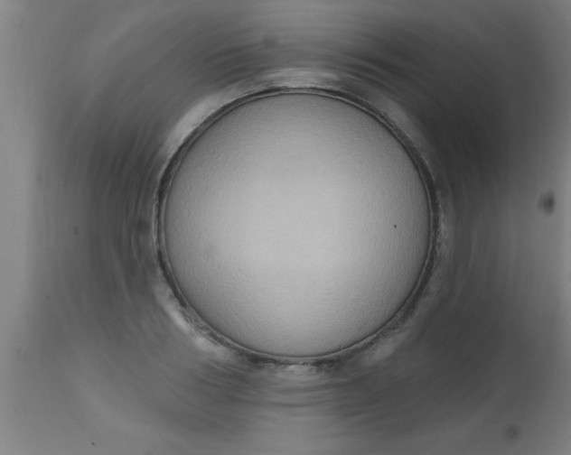 X0000112520986200909071329