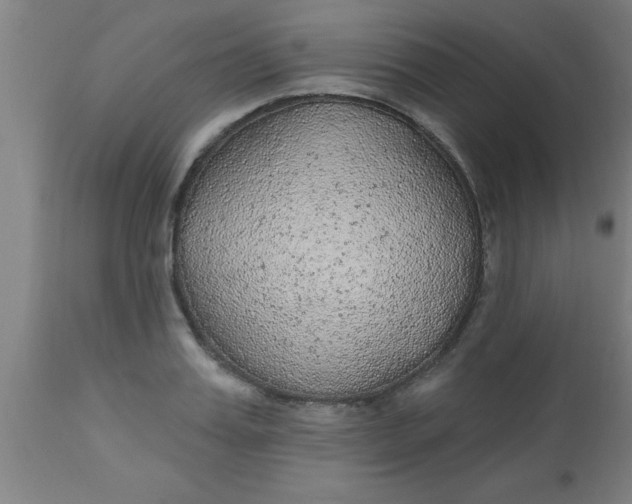 X0000112520987200909071329