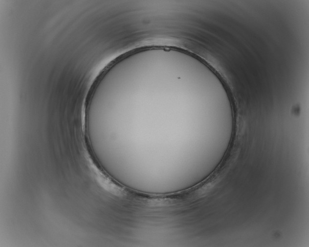 X0000112520988200909071329