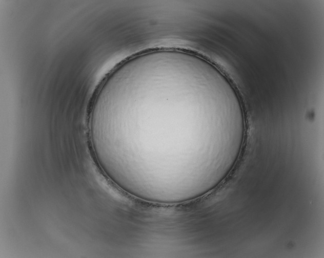 X0000112520990200909071329