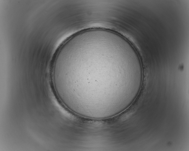 X0000112520991200909071329