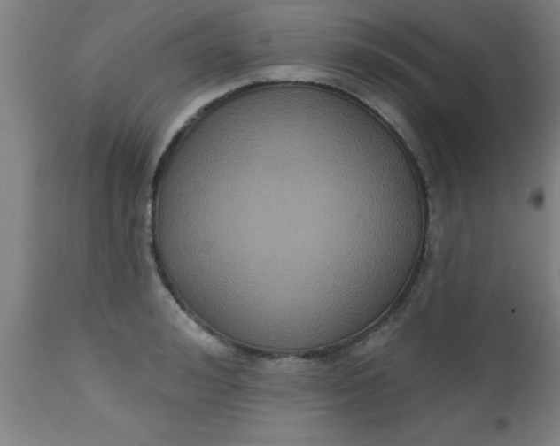 X0000112520992200909071329