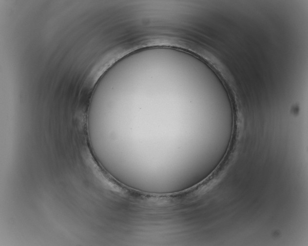 X0000112520993200909071329