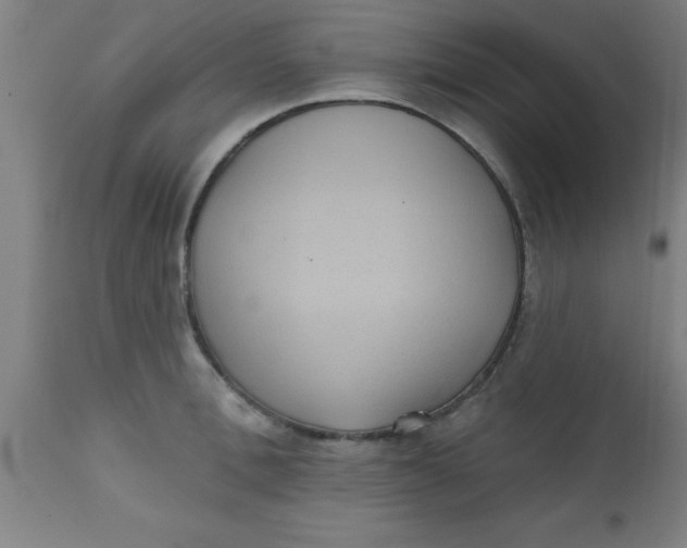 X0000112520996200909071329