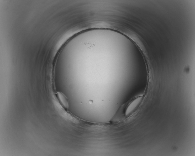 X0000112521000200909071329