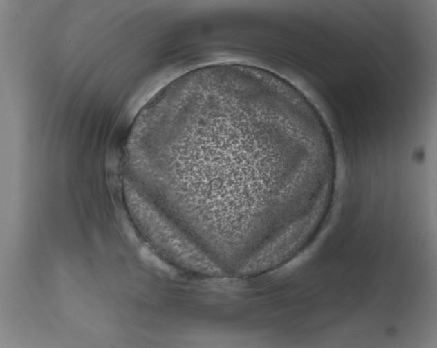 X0000112521001200909071329