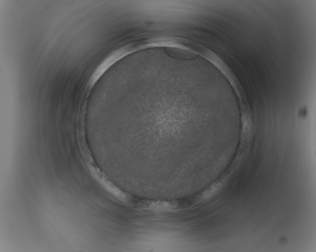 X0000112521002200909071329