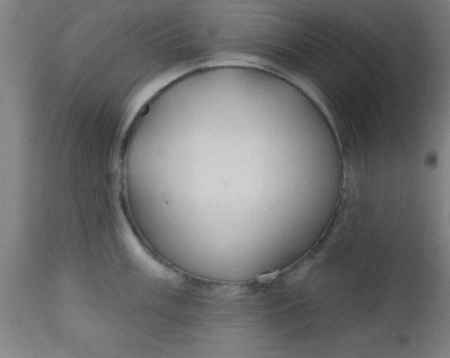 X0000112521003200909071329