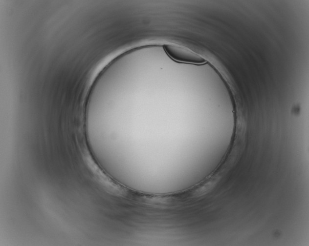 X0000112521004200909071329
