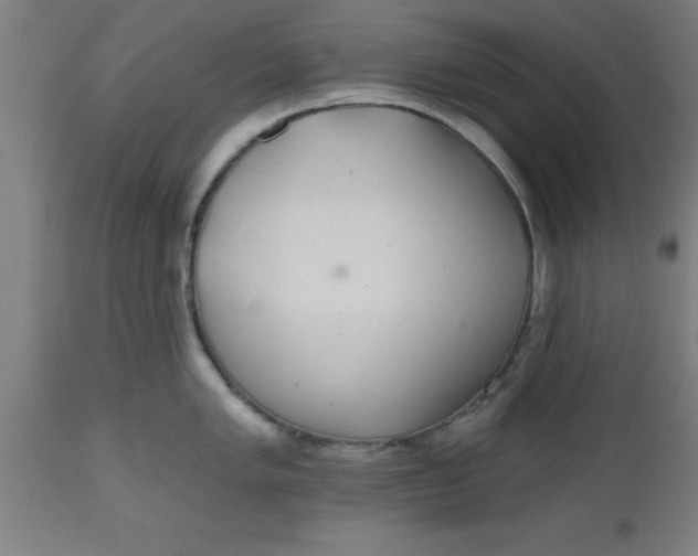 X0000112521005200909071329