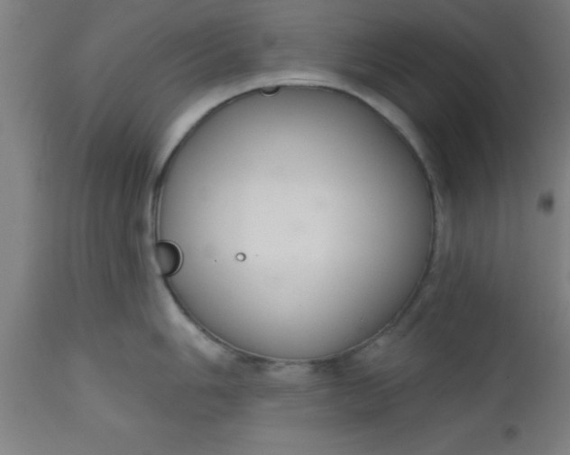 X0000112521006200909071329