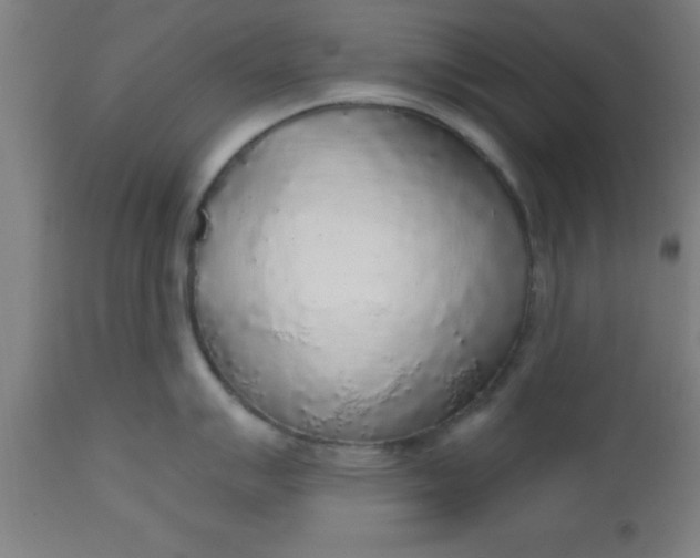X0000112521007200909071329