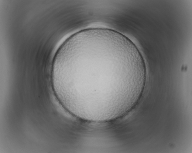 X0000112521008200909071329