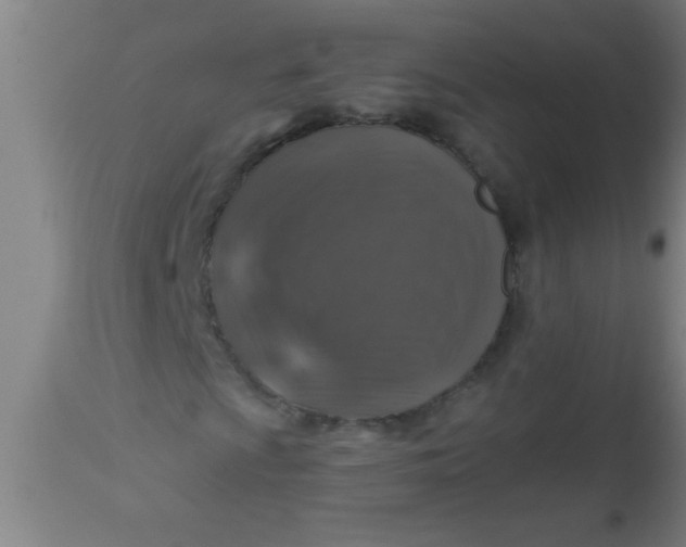 X0000112521009200909071328