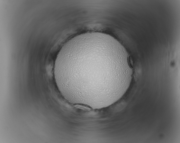 X0000112521010200909071328