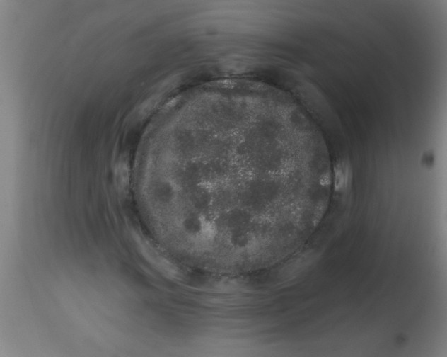 X0000112521011200909071328