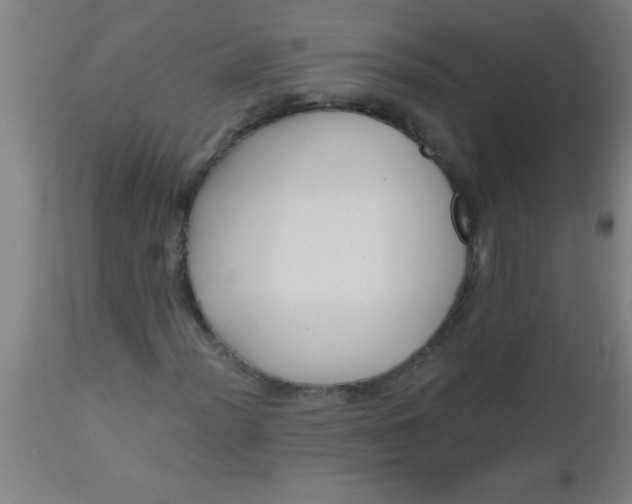 X0000112521012200909071328