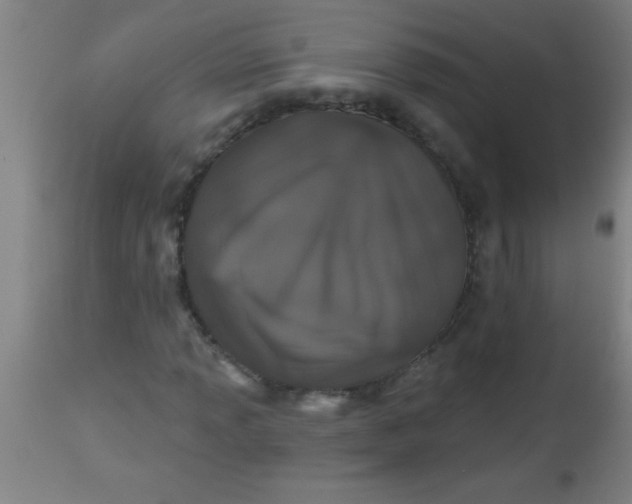 X0000112521013200909071328