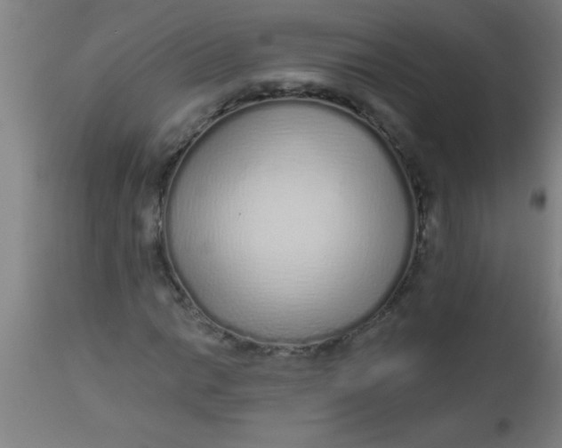 X0000112521014200909071328