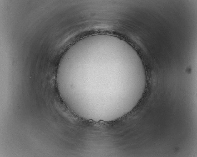 X0000112521015200909071328