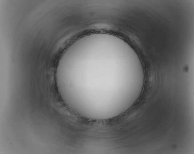 X0000112521016200909071328