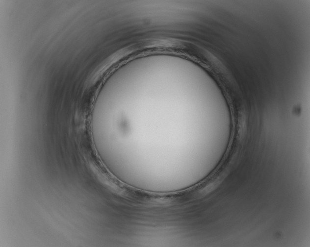 X0000112521017200909071328