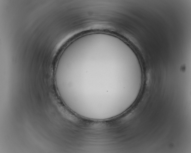 X0000112521021200909071328