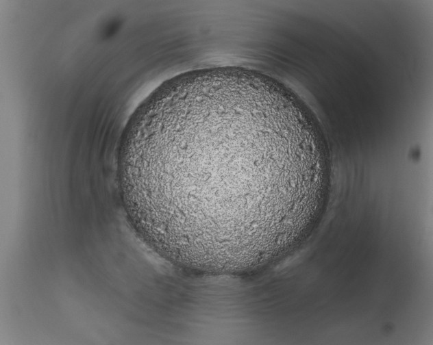 X0000112521023200909071328