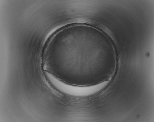 X0000112521024200909071328