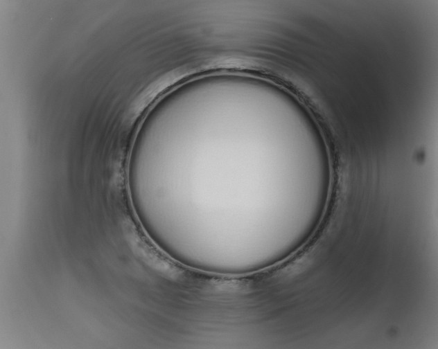 X0000112521025200909071328