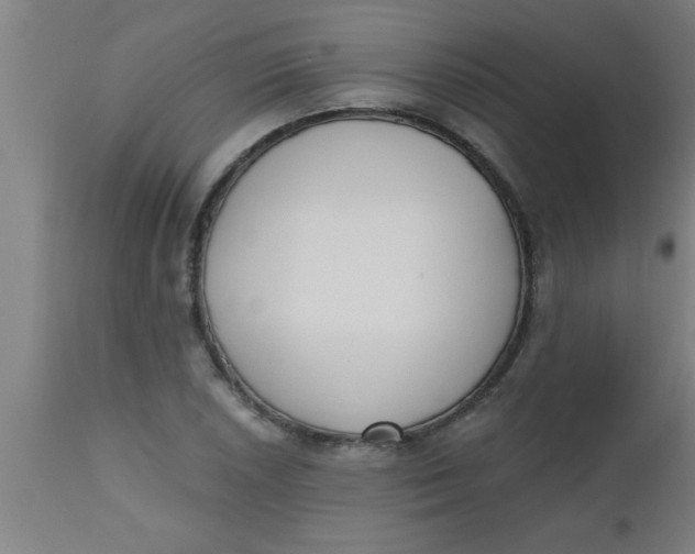 X0000112521026200909071328