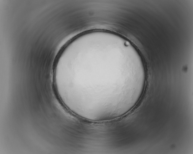 X0000112521028200909071328