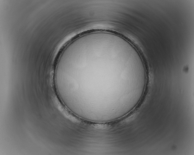 X0000112521029200909071328