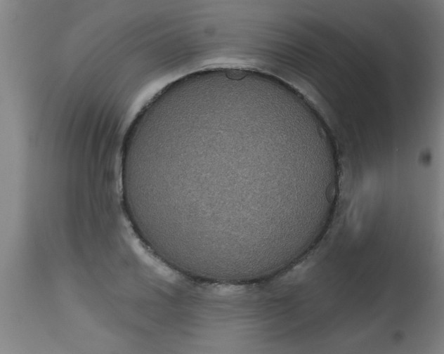 X0000112521030200909071328