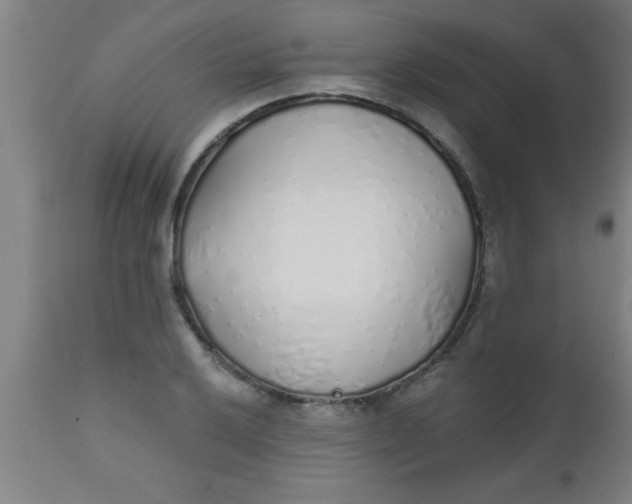 X0000112521032200909071328