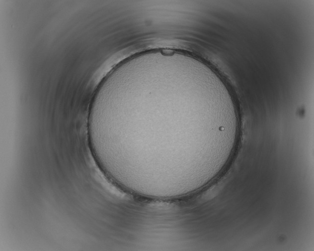 X0000112521033200909071328