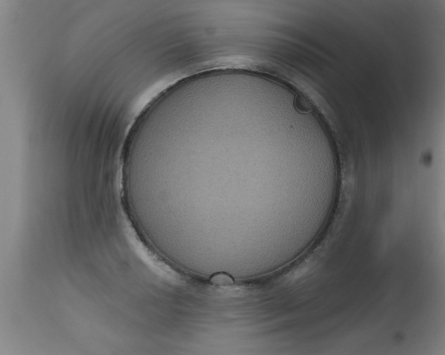 X0000112521034200909071328