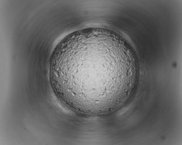 X0000112521035200909071328