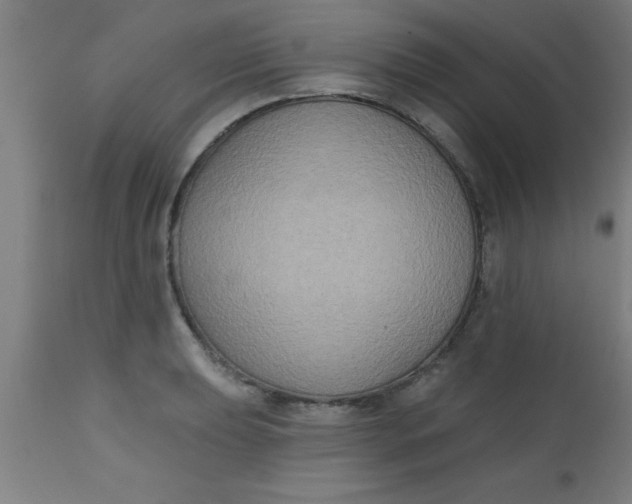 X0000112521039200909071329